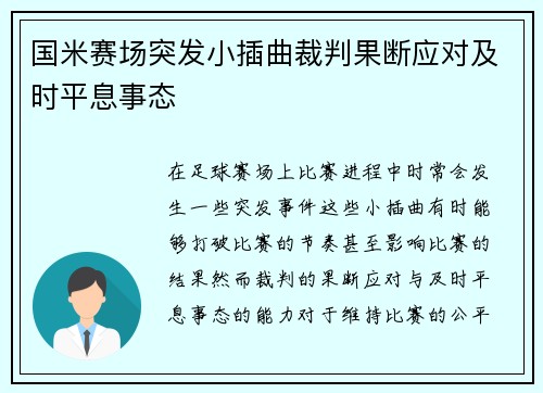 国米赛场突发小插曲裁判果断应对及时平息事态