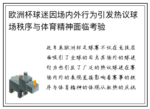 欧洲杯球迷因场内外行为引发热议球场秩序与体育精神面临考验