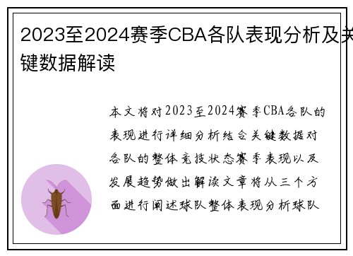 2023至2024赛季CBA各队表现分析及关键数据解读